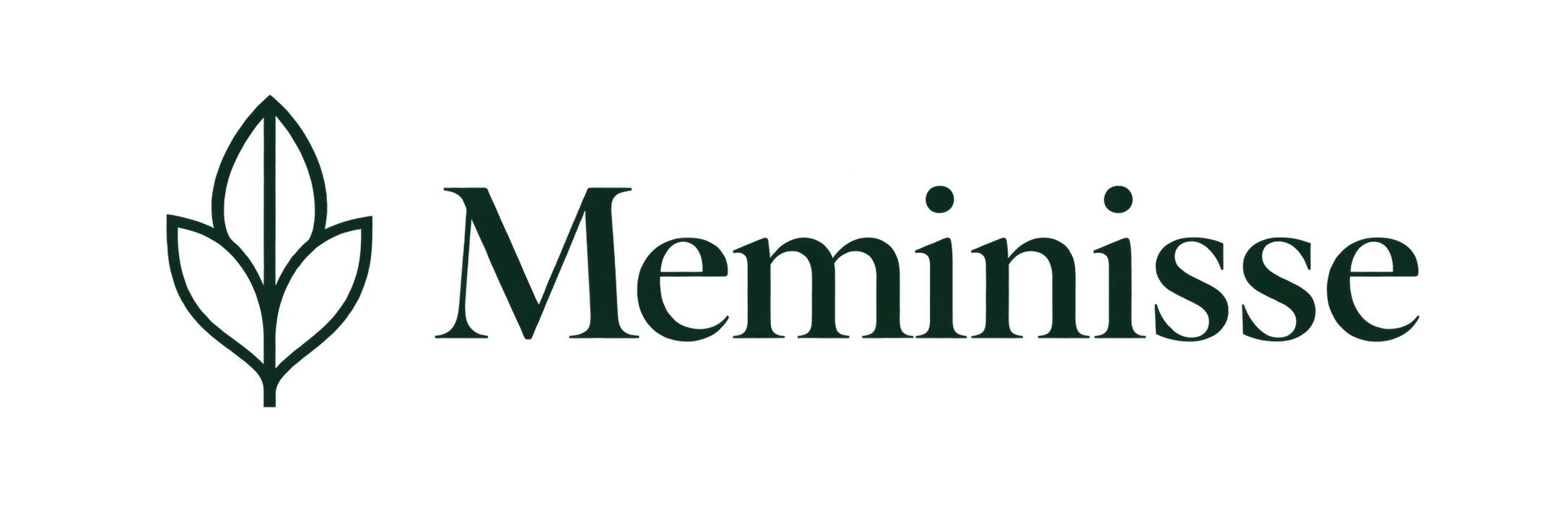 Meminisse